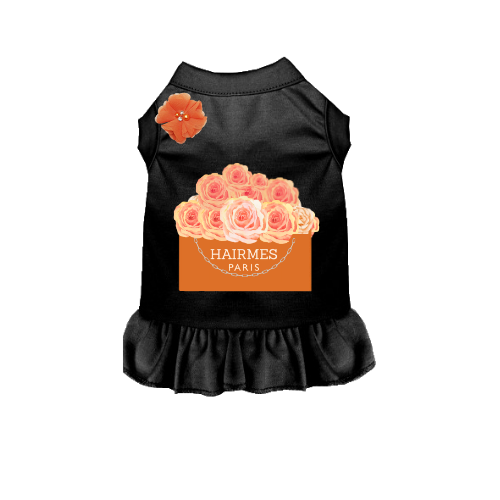 Black dog dress with orange rose graphic and 'HAIRMES PARIS' front panel