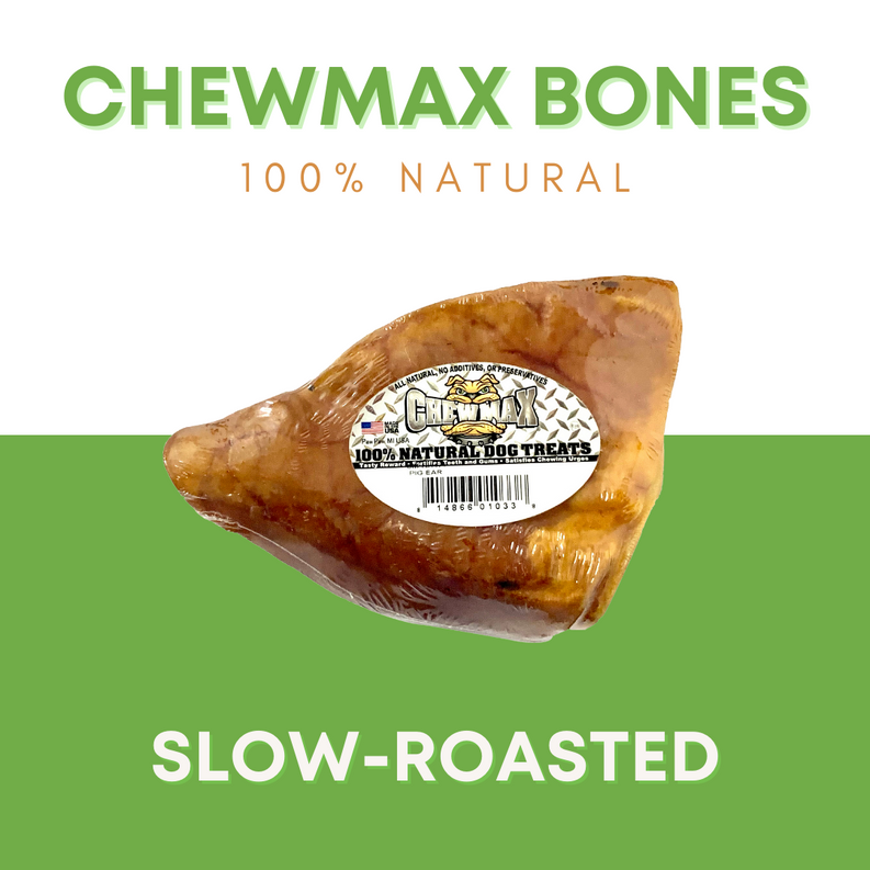 Brown slow-roasted pig ear dog treat with round label on surface