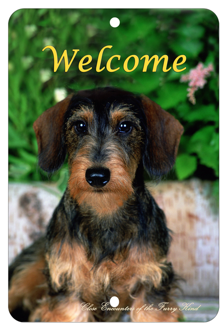 Dachshund Wirehair - Best of Breed  Indoor/Outdoor Aluminum Sign - 1 / 8 x 12in - Outdoor's