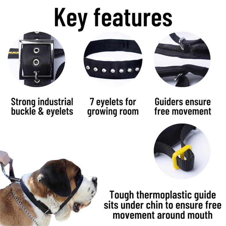 Adjustable no-pull dog head halter with black padded chin strap, buckle, metal eyelets.