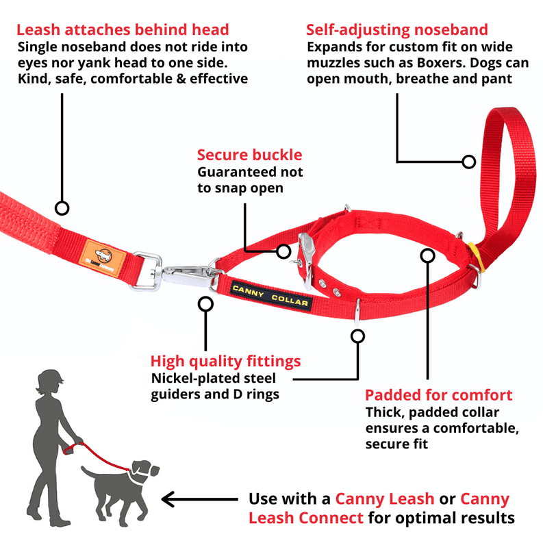 Red adjustable no-pull dog head halter collar with padded noseband, buckle, D-rings.