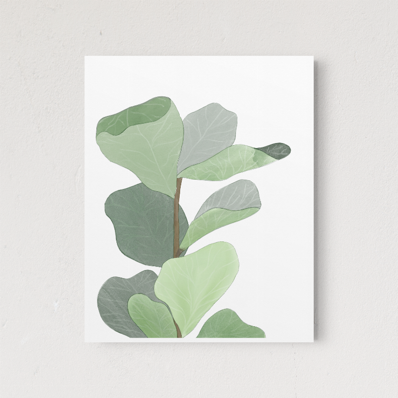 Figleaf - Home Decor