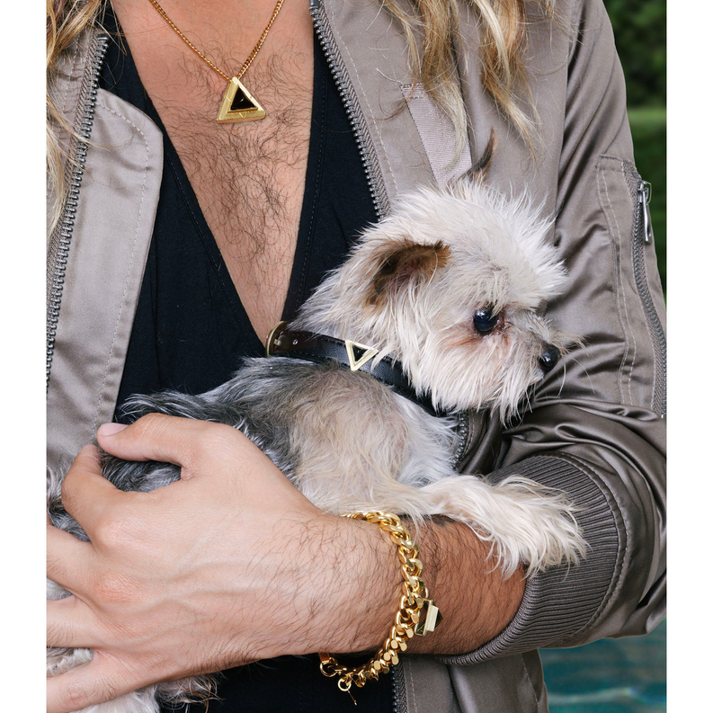 Dog wearing black collar with gold triangular charm, held by person’s hand