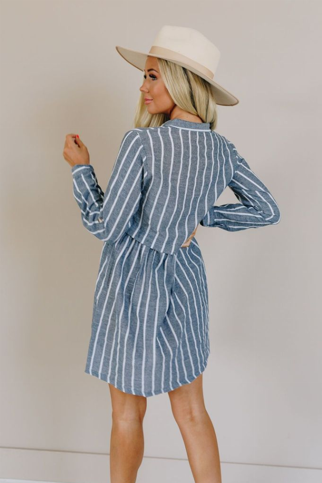 Blue pinstripe button-front dress with long sleeves, gathered back, and side pockets