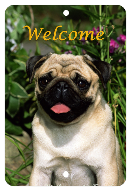 Indoor/outdoor aluminum sign with pug portrait and 'Welcome' text.