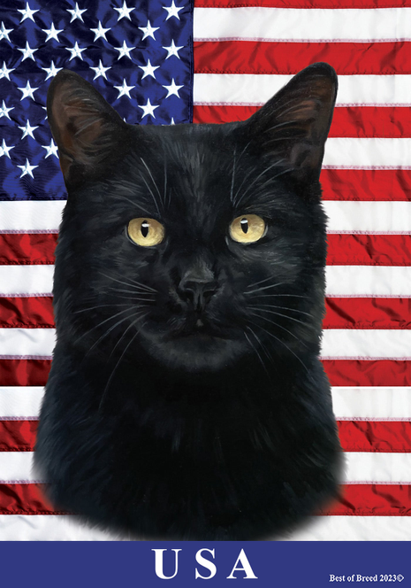 Outdoor flag with black shorthair cat face and yellow eyes, with USA text