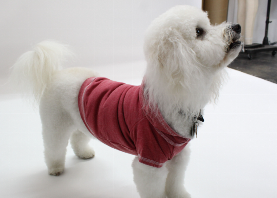 Doggy Hoodie French Terry - Pet Supplies