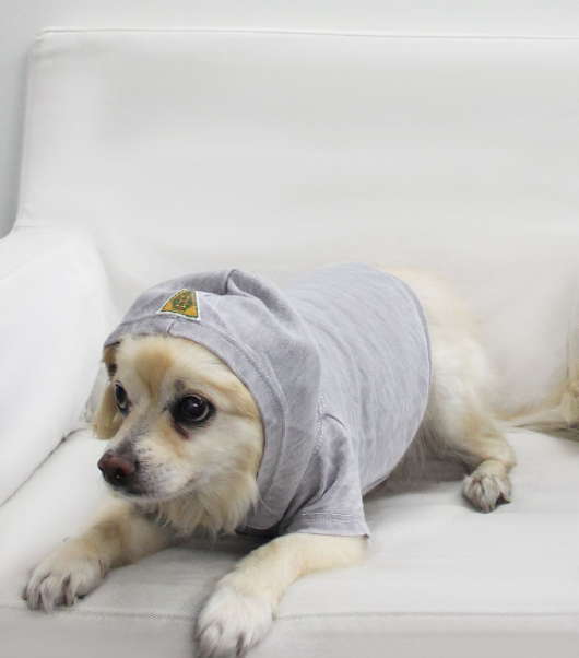 Doggy Hoodie French Terry - Pet Supplies