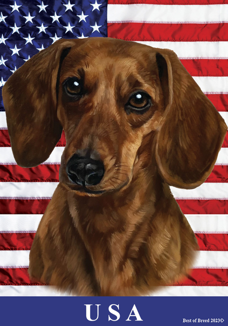 Dachshund outdoor flag with red-brown dog face and “USA” text