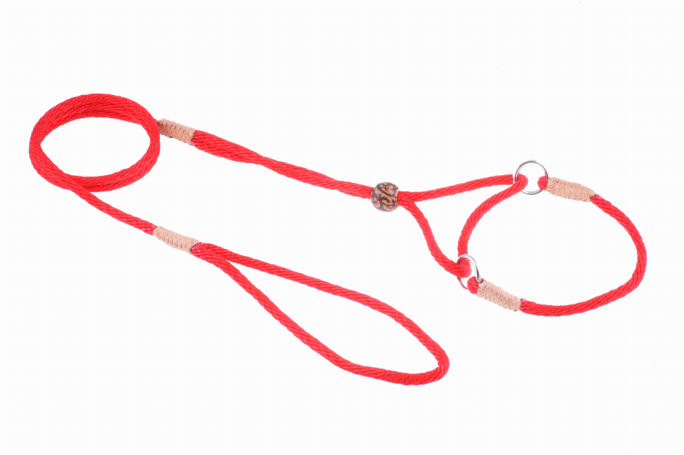 Red braided martingale dog lead with adjustable loops and metal hardware
