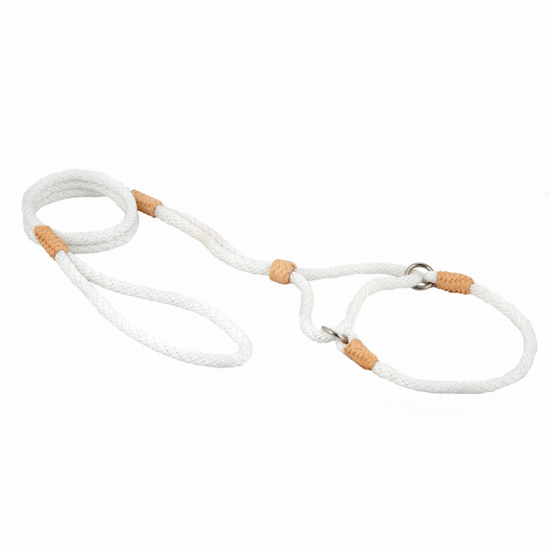 White nylon martingale dog lead with tan tabs and metal hardware ring