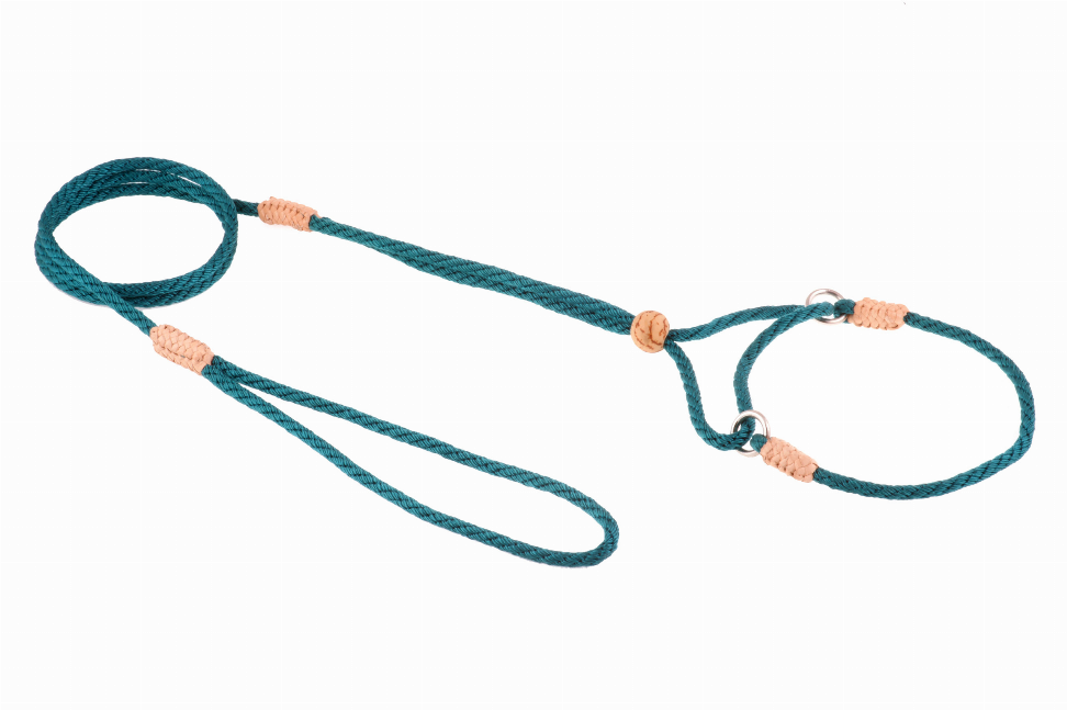 Teal braided nylon martingale dog lead with two slip loops and metal hardware