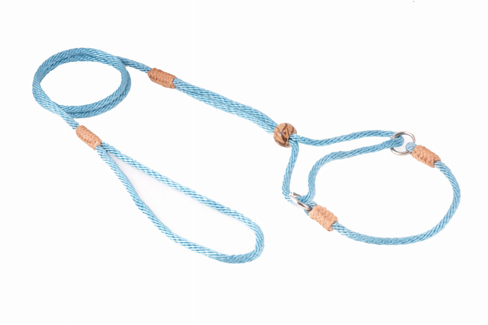 Light blue nylon martingale dog lead with leather tabs and metal D-ring