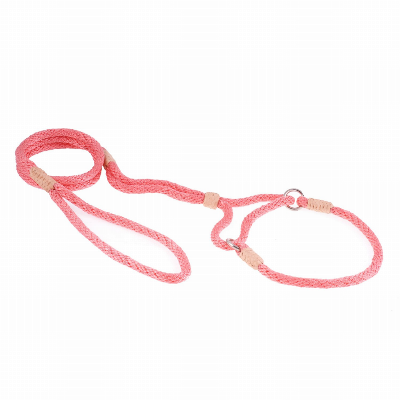 Pink nylon martingale lead with braided strap, D-ring, and adjustable slip loop