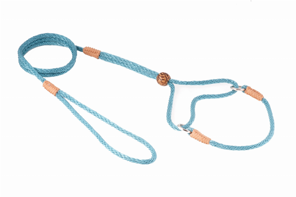 Blue nylon dog martingale lead with two straps and tan adjuster rings