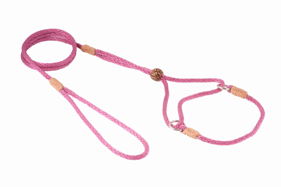 Pink nylon martingale dog lead with adjustable loop and tan leather ends