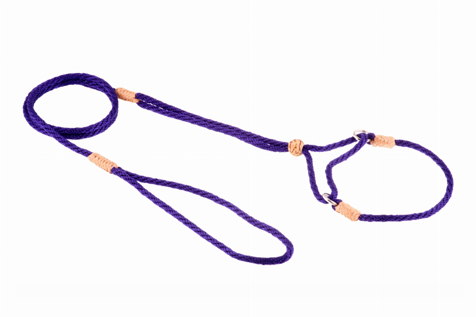 Dark purple nylon dog lead with martingale loop and tan reinforced ends