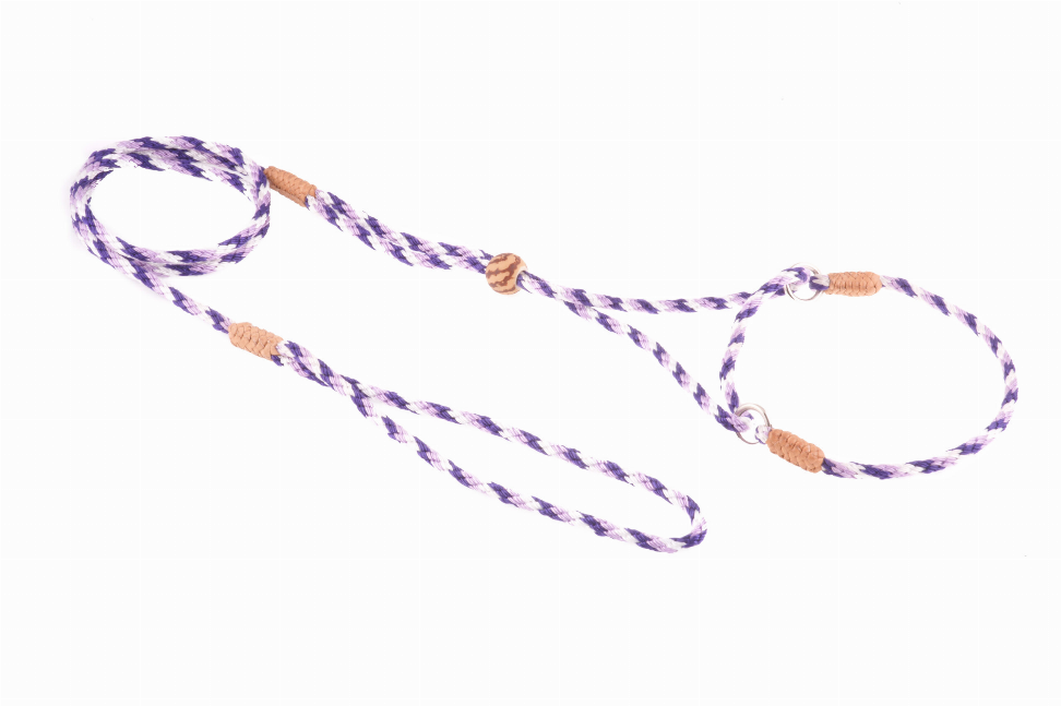 Purple braided nylon martingale dog lead, dual-loop design with metal rings and leather tabs