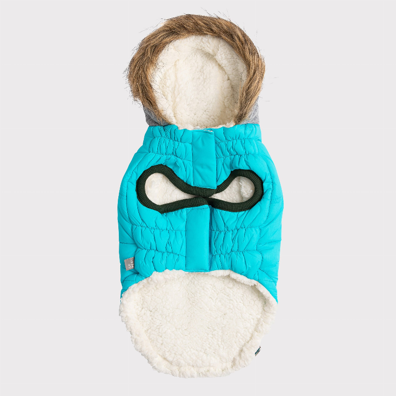 Turquoise winter dog parka with gray hood and white sherpa belly, rear view on a dog.