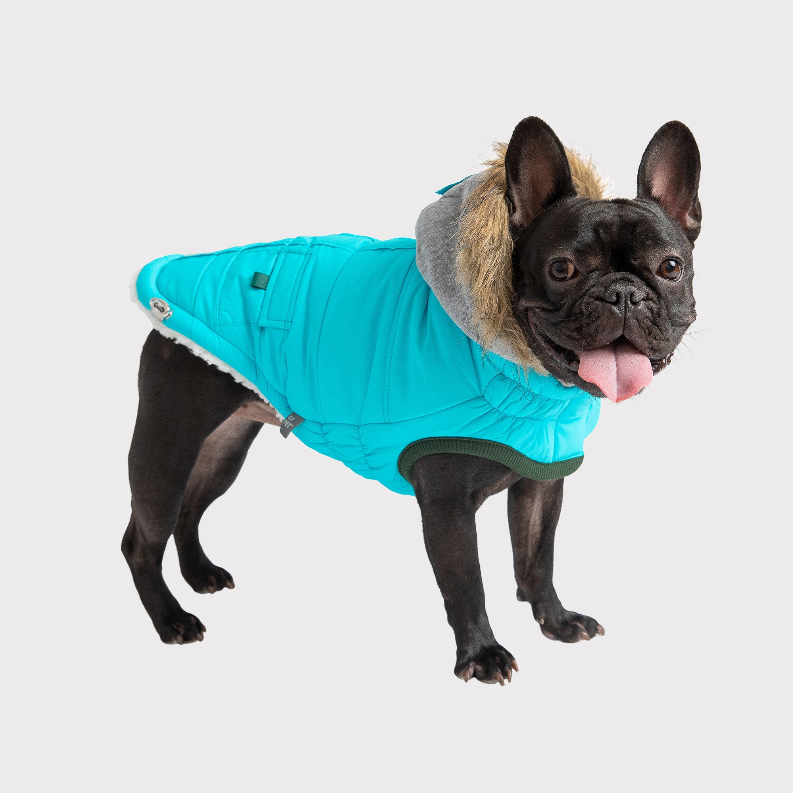 Turquoise quilted dog parka with gray hood and faux-fur trim, front zipper and pockets