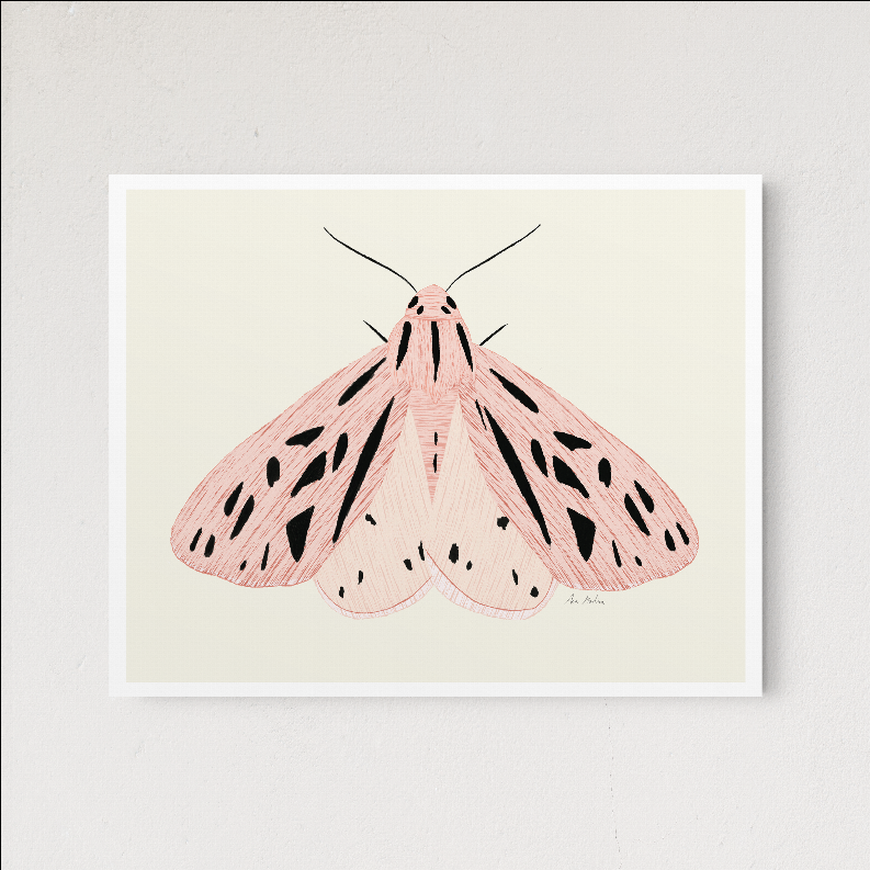 Light-framed pink moth art print on a pale background