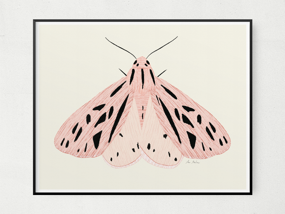 Black-framed pink moth illustration with antenna lines on a light background