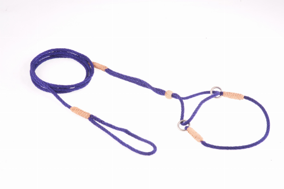 Navy nylon dog lead with martingale loop, beige accents, and dangling handle