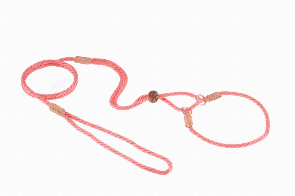Coral pink nylon martingale lead with loop handle and metal clip.