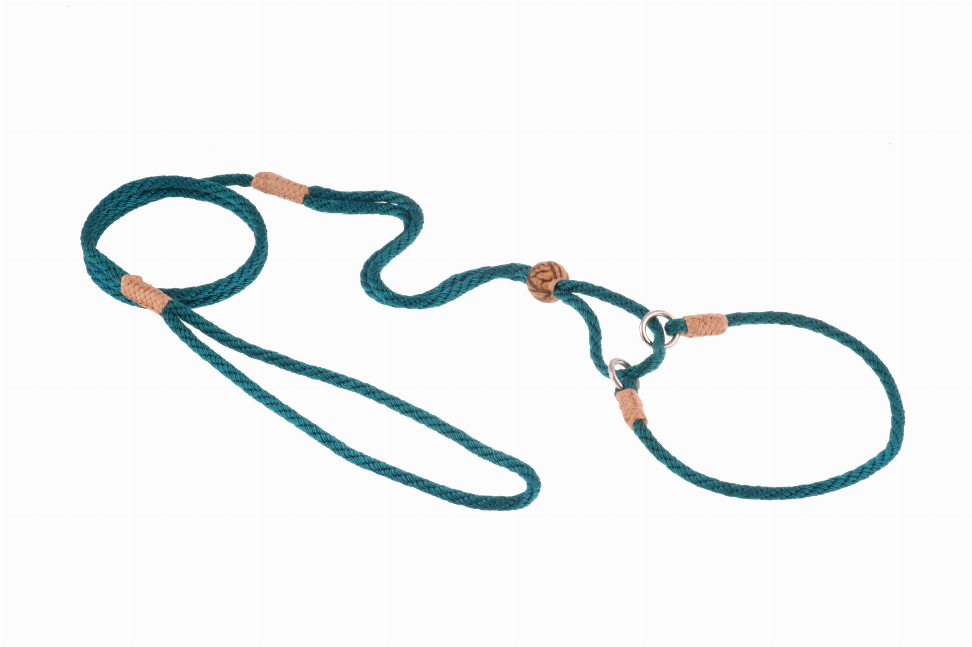 Teal nylon martingale lead with brown tabs, ring attachment, and loop end