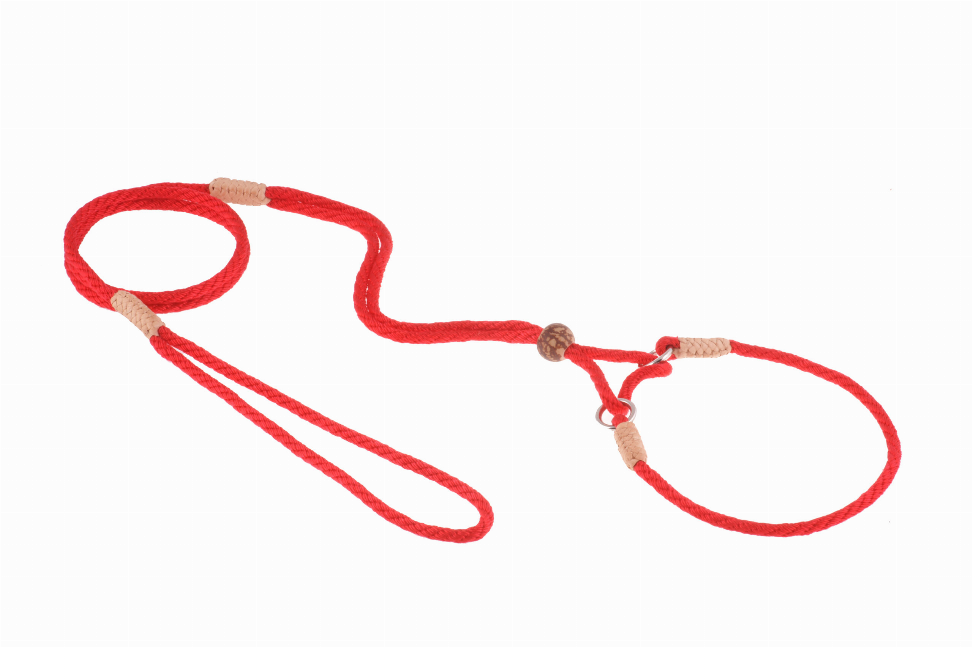Red nylon martingale lead with rope adjuster and two O-ring ends