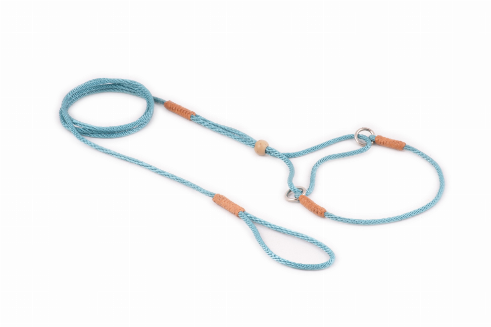 Light blue nylon dog martingale leash with two loop ends and tan beads