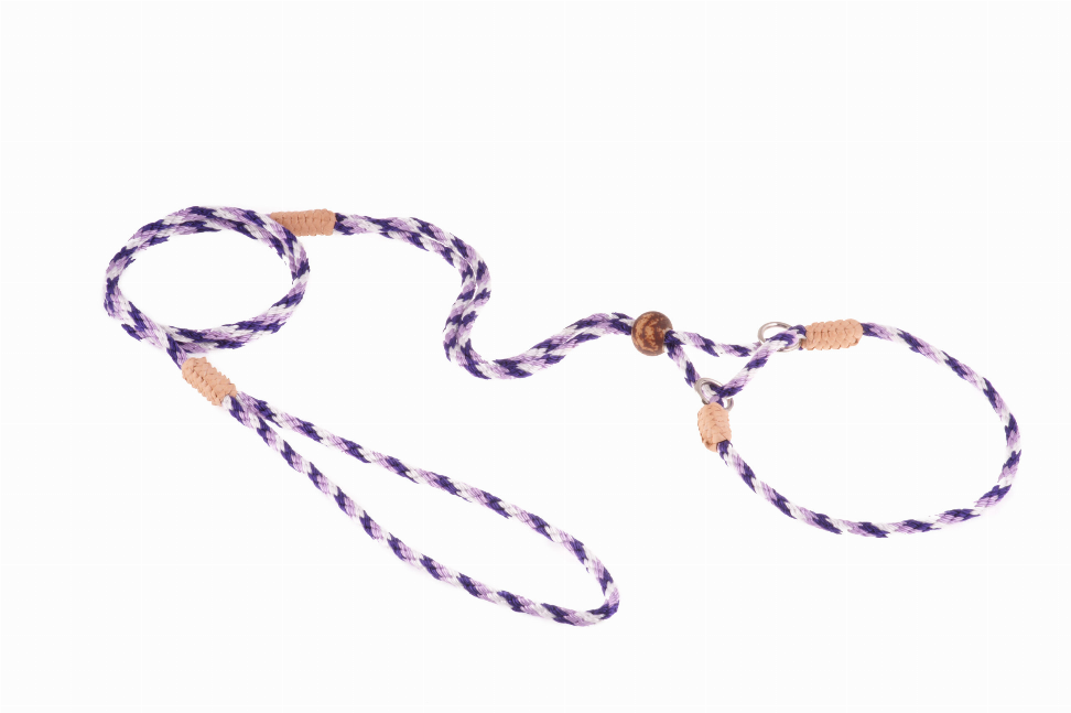 Purple-and-white braided nylon dog lead with adjustable martingale loops and metal ring