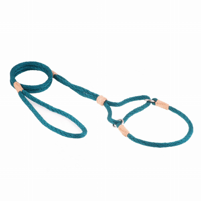 Teal nylon martingale lead with tan leather slides and metal swivel ring