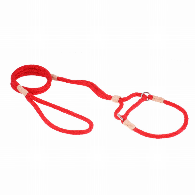 Red nylon martingale dog lead with two loops and metal ring clasp