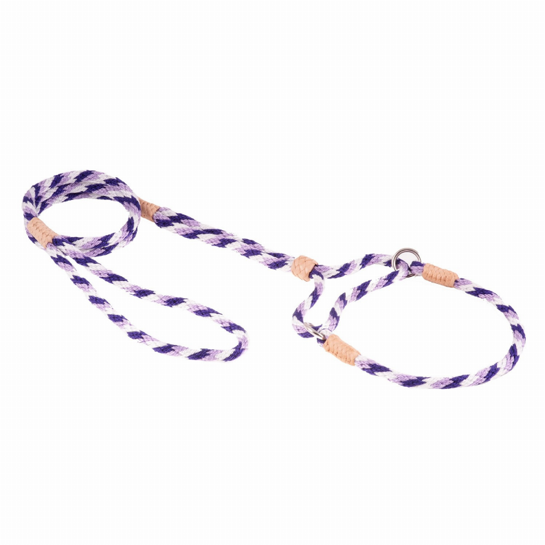 Braided nylon dog martingale lead with purple-white checker rope, metal ring and two tan end loops