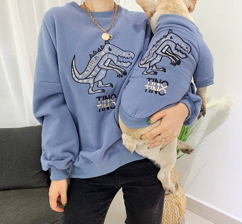 Light blue dinosaur sweatshirt with two dinosaur prints and “TINO TINO” text