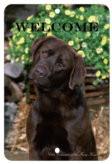 Chocolate Labrador - Best of Breed  Indoor/Outdoor Aluminum Sign - 1 / 8 x 12in - Outdoor's
