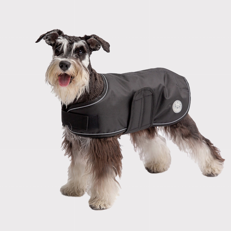 Dog wearing dark gray blanket jacket with front belly strap and raised center pocket