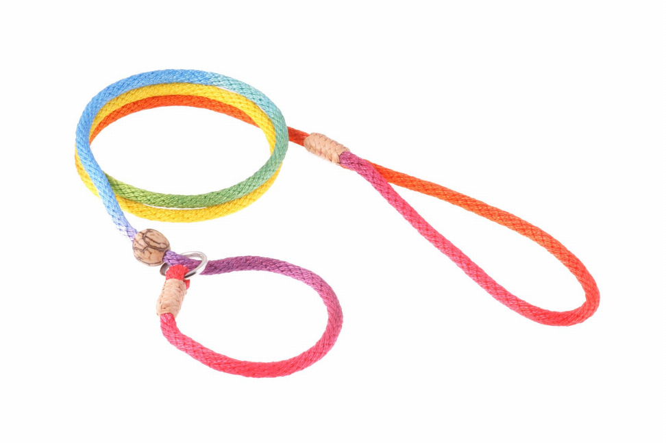 Alvalley Nylon Slip Lead With Stopper - Pet Supplies