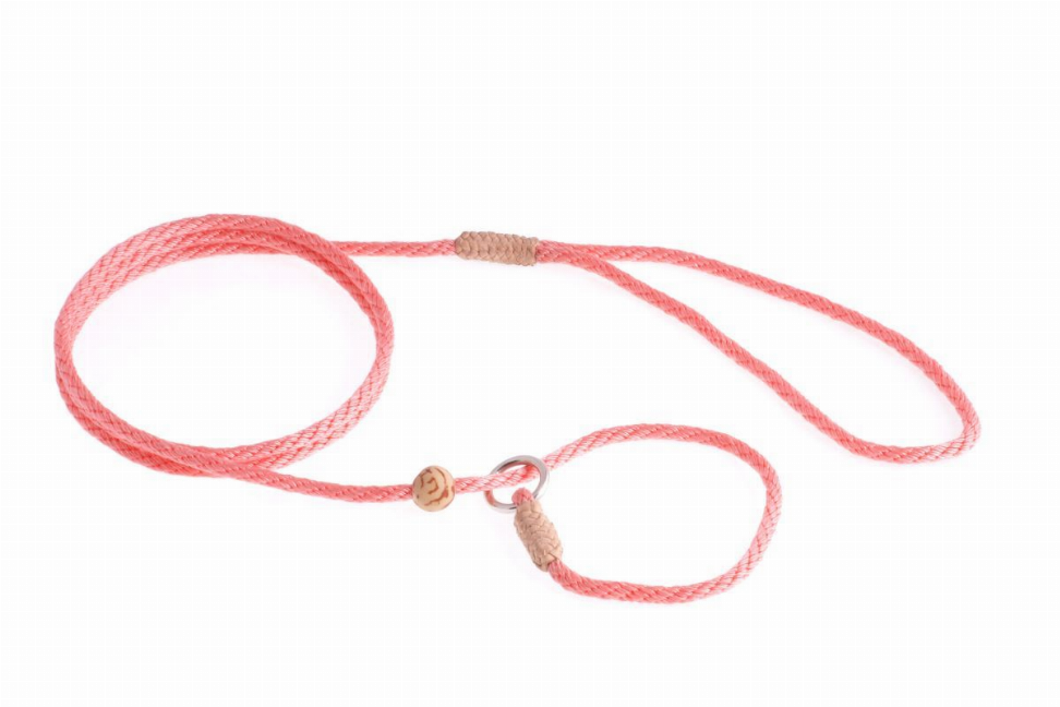 Alvalley Nylon Slip Lead With Stopper - Pet Supplies