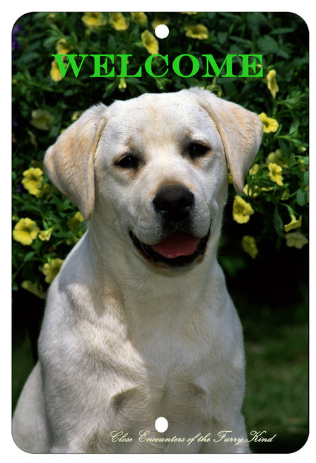 Aluminum pet sign with yellow Labrador face and “WELCOME” text