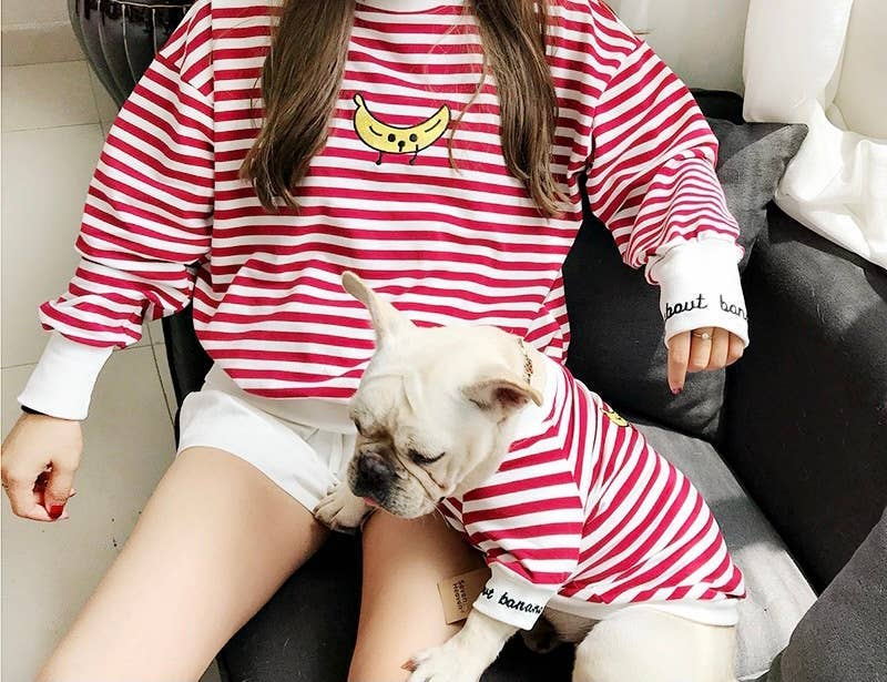 Red and white striped matching outfit: person wears tee, pug rests in striped pet shirt