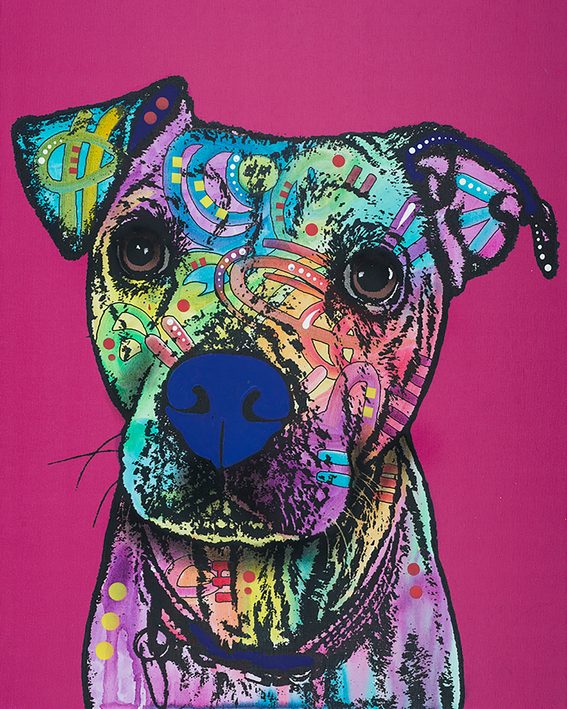 Colorful dog face garden flag with bright pattern and black outline