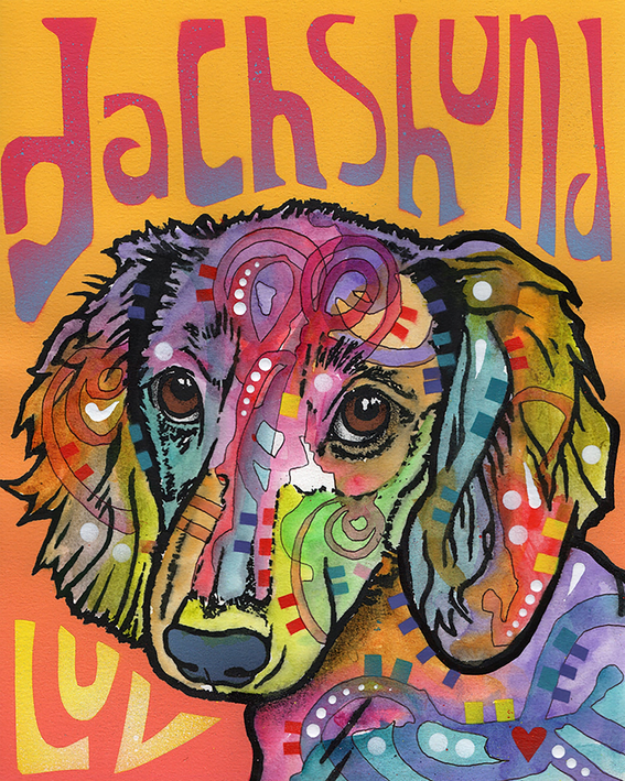 Longhaired dachshund house flag with colorful cartoon portrait design