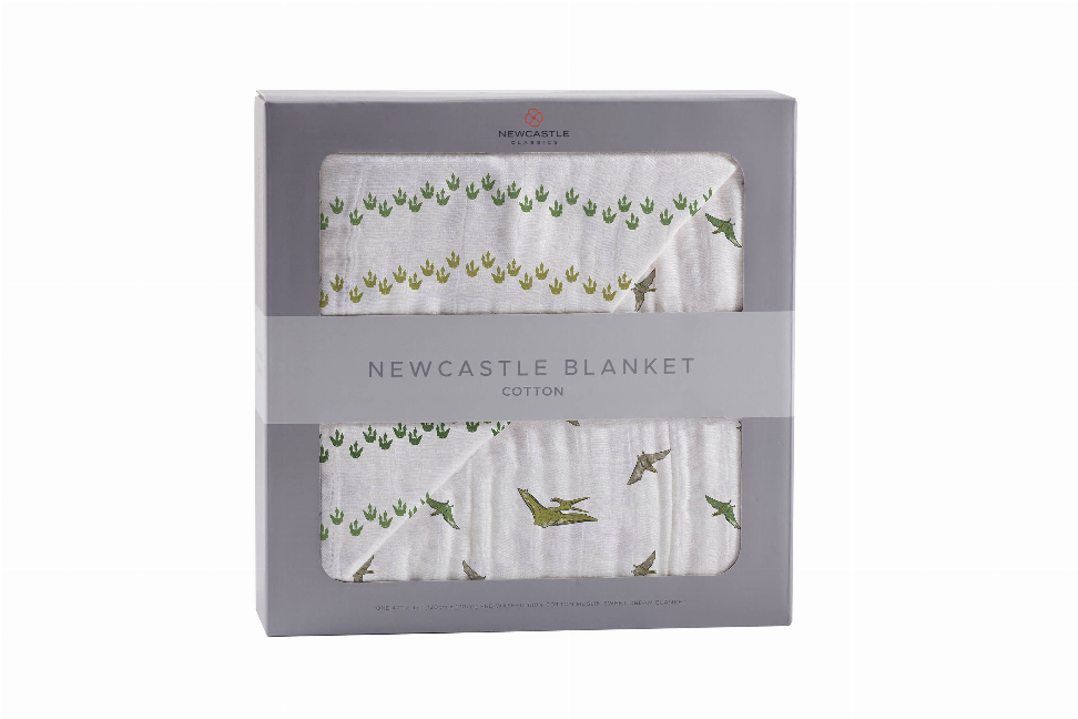 Gray cotton dinosaur blanket in gift box with green trail and flying dino print