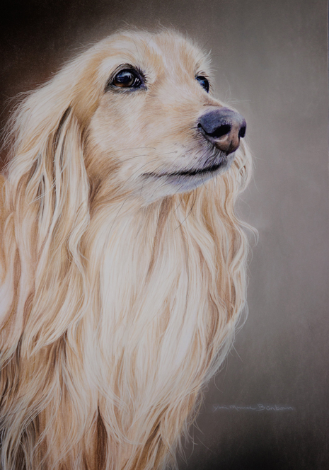 Dachshund Longhair  - Joni Monroe Beinborn Portrait House and Garden Flag - 1 / Garden 12" x 17" - Outdoor's