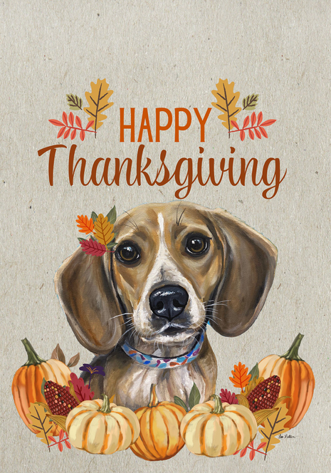Beagle - Hippie Hound Studio Best of Breed Thanksgiving House and Garden Flag - 1 / Garden 12" x 17" - Outdoor's
