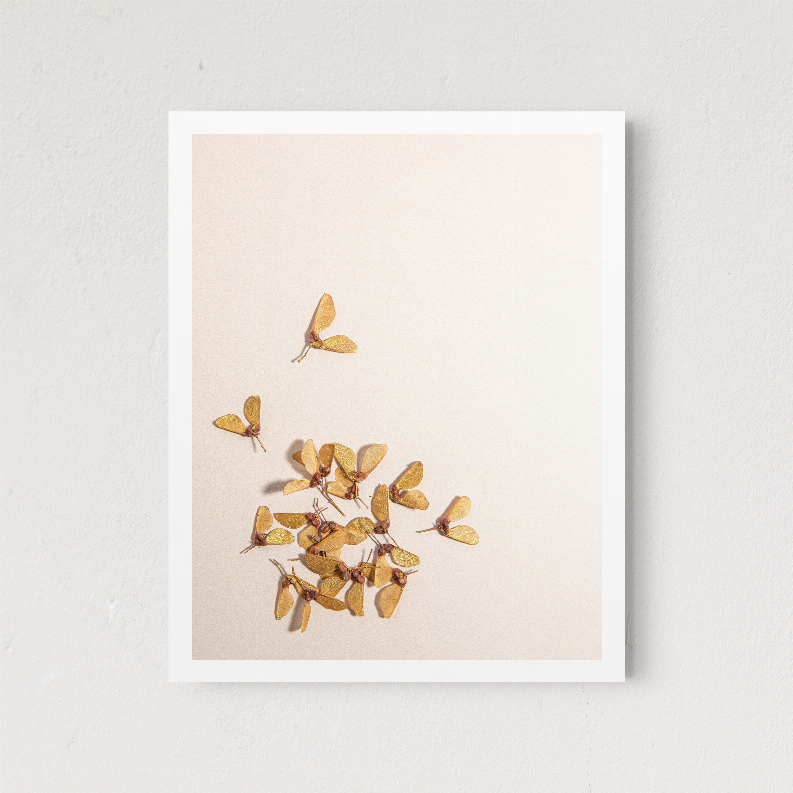Framed butterfly wall art with a gold butterfly cluster and butterflies near the sides