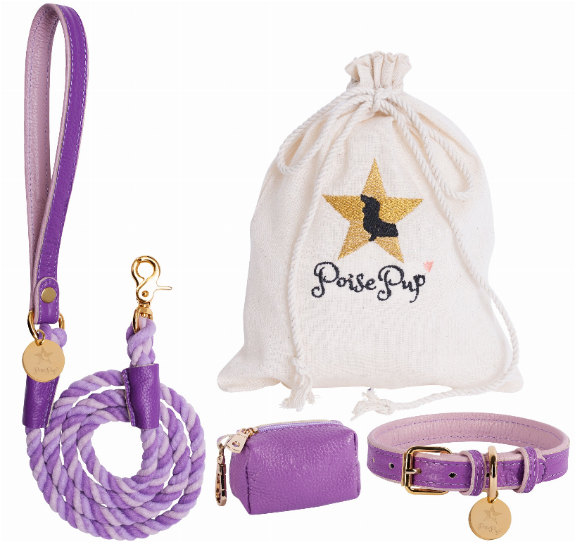 Dog Harness - Pet Supplies
