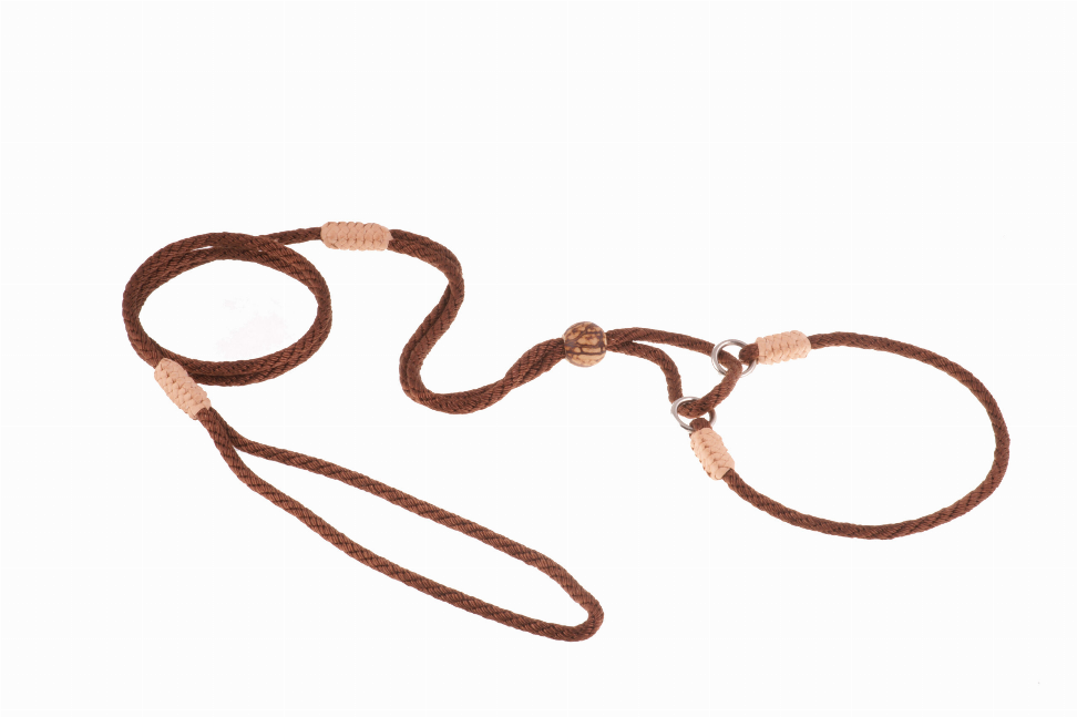 Alvalley Nylon Martingale Leads - Pet Supplies